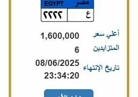 «سعرها تخطى مليون ونصف».. مزايدة نارية على لوحة سيارة مميزة