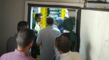 ضبط 8 أطنان دواجن غير صالحة للاستهلاك بالقليوبية في حملة قادتها نائب المحافظ