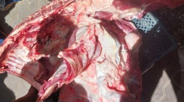 ضبط لحوم مذبوحة خارج المجازر وتحرير 317 محضرًا تموينيًا بأسيوط
