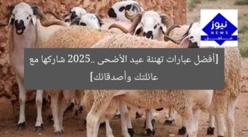 [أفضل عبارات تهنئة عيد الأضحى 2025.. شاركها مع عائلتك وأصدقائك]