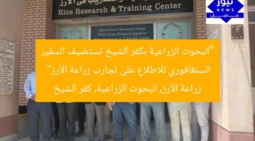 “«البحوث الزراعية» بكفر الشيخ تستضيف السفير السنغافوري للاطلاع على تجارب زراعة الأرز”  
زراعة الأرز, البحوث الزراعية, كفر الشيخ