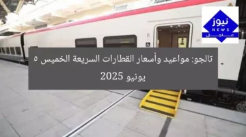 تالجو: مواعيد وأسعار القطارات السريعة الخميس 5 يونيو 2025