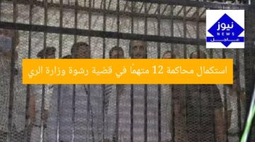 استكمال محاكمة 12 متهمًا في قضية رشوة وزارة الري