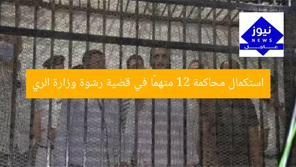 استكمال محاكمة 12 متهمًا في قضية رشوة وزارة الري