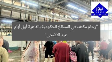 “زحام مكثف في المسالخ الحكومية بالقاهرة أول أيام عيد الأضحى”