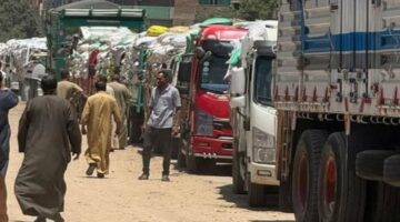 محافظ المنوفية يتابع منظومة توريد القمح ويؤكد توريد 105ألف طن
