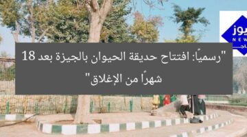 “رسميًا: افتتاح حديقة الحيوان بالجيزة بعد 18 شهرًا من الإغلاق”