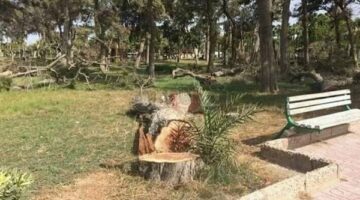 موعد افتتاح حديقة حيوان الجيزة بعد تحويلها إلى وجهات سياحية متكاملة