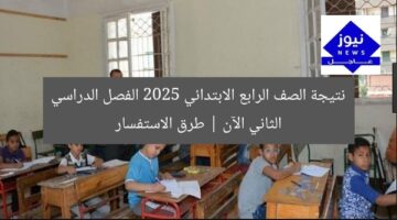 نتيجة الصف الرابع الابتدائي 2025 الفصل الدراسي الثاني الآن | طرق الاستفسار