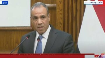 وزير الخارجية: ضرورة العمل على إدخال مزيد من المساعدات ووقف نزيف الدم في غزة