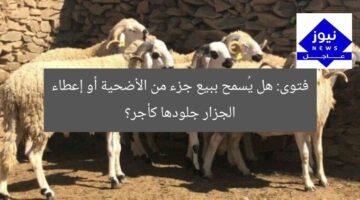 فتوى: هل يُسمح ببيع جزء من الأضحية أو إعطاء الجزار جلودها كأجر؟