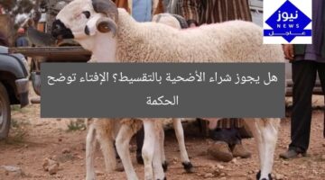 هل يجوز شراء الأضحية بالتقسيط؟ الإفتاء توضح الحكمة