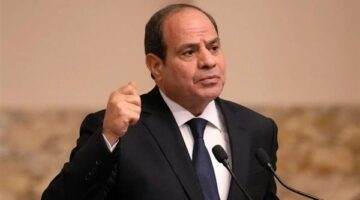 الرئيس السيسى يؤكد على أهمية الحفاظ على سيادة ليبيا ووحدة أراضيها