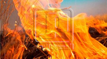 إصابة 4 أشخاص في حريق هائل داخل فرن بالغربية