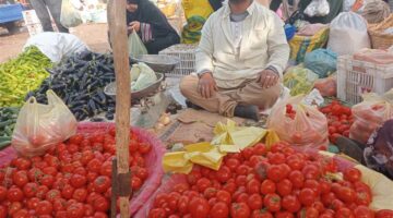 البصل بـ 10 جنيهات.. أسعار الخضار والفاكهة الإثنين 11 أغسطس 2025 في أسواق الشرقية