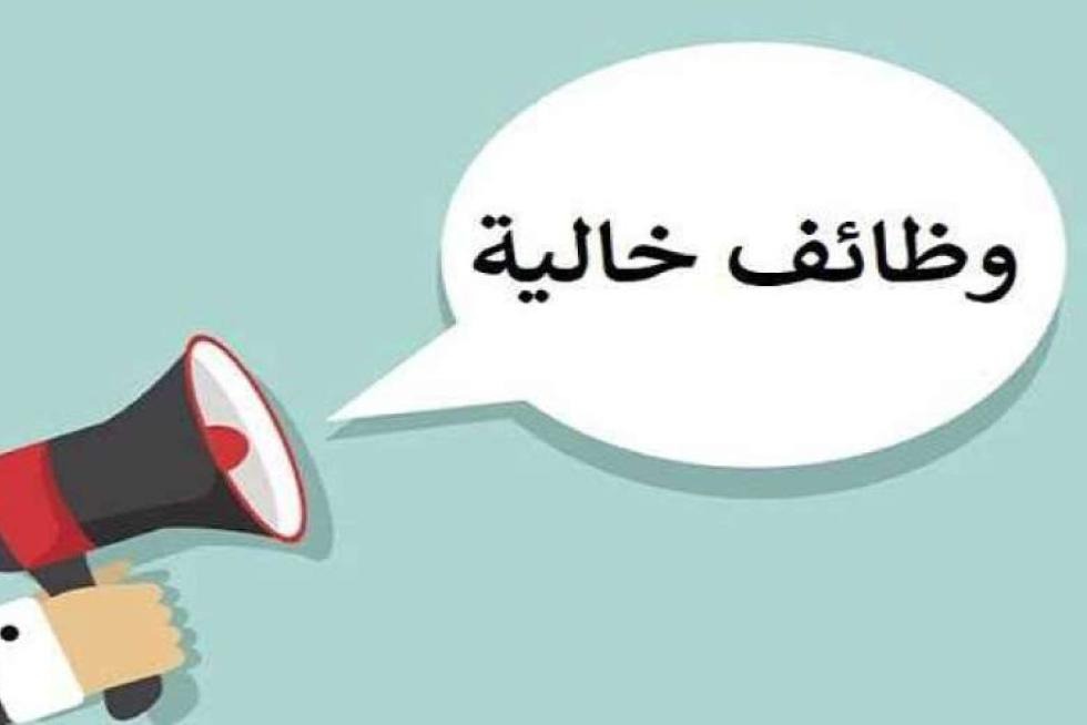 وزارة الأوقاف تعلن عن وظيفة وكيل دائم (الشروط وطريقة التقديم)