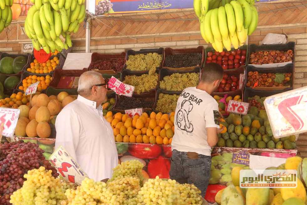 أسعار الفاكهة اليوم الجمعة 22 أغسطس 2025 في أسواق الأقصر