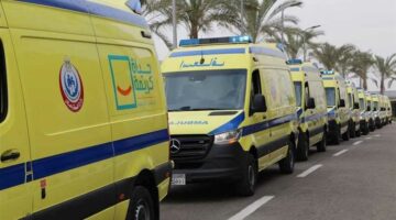 مصرع 3 أشخاص من بينهم شقيقان في الوادي الجديد
