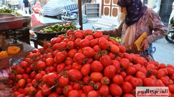 أسعار الخضروات والفواكه بشمال سيناء اليوم الأحد 24 أغسطس