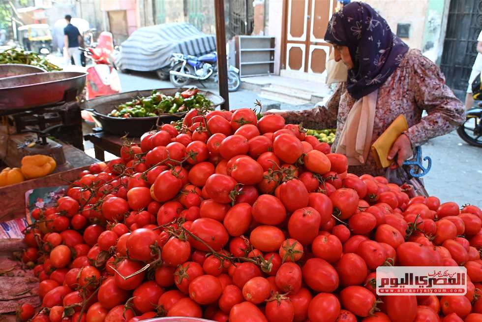 أسعار الخضروات والفواكه بشمال سيناء اليوم الأحد 24 أغسطس