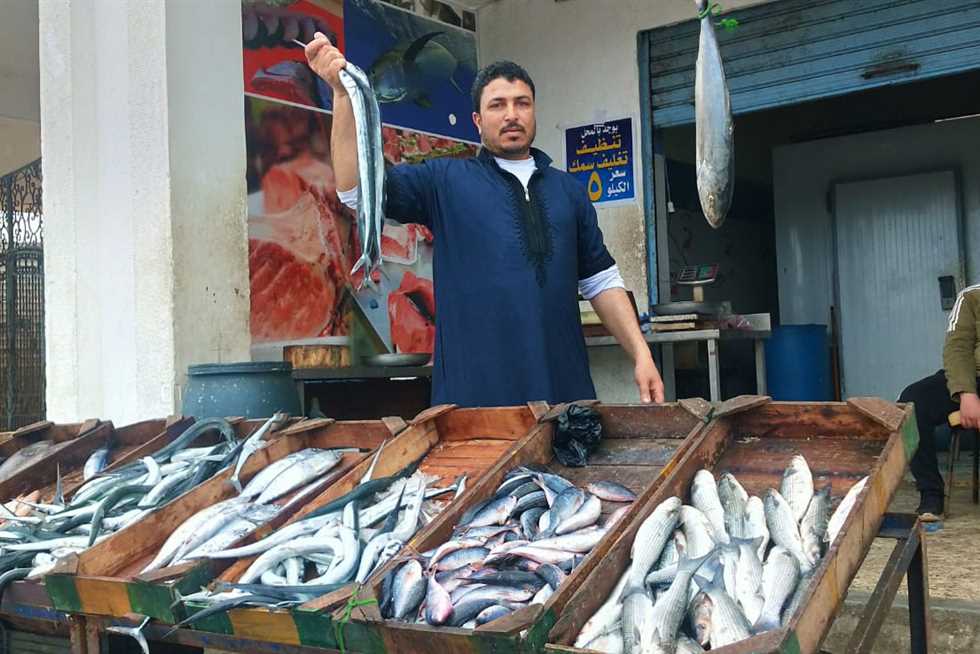 سعر السمك البلطي والسردين والجمبري في الأسواق اليوم السبت 6 سبتمبر 2025