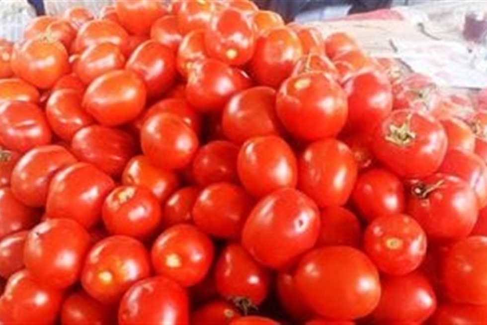 الطماطم بـ8 جنيهات.. أسعار الخضار اليوم 22 أغسطس 2025 في مطروح