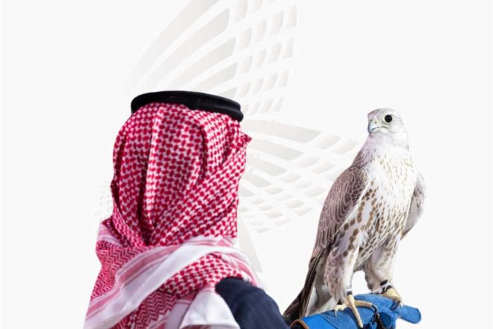 بأكثر من 300 ألف دولار.. بيع أغلى صقر في المزاد الدولي بالرياض (تفاصيل)