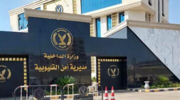 ضبط تاجري مخدرات بتهمة غسل أموال مشبوهة بمشروعات شرعية في القليوبية