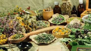 أعصابك مضغوطة؟ 5 أعشاب مهدئة للأعصاب وتقلل التوتر