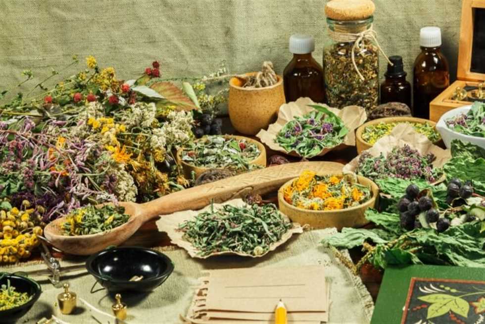 أعصابك مضغوطة؟ 5 أعشاب مهدئة للأعصاب وتقلل التوتر