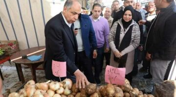 «البامية بـ30».. أسعار الخضروات اليوم الجمعة 15 أغسطس بأسواق المنيا