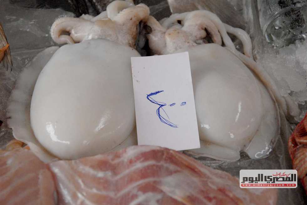 سعر السمك البلطي والكابوريا والجمبري في الأسواق اليوم الإثنين 18 أغسطس 2025