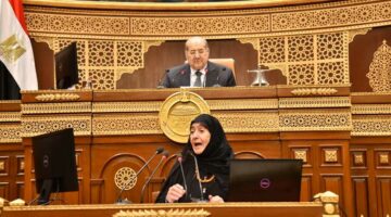 نائب بـ«الشيوخ»: زيارة الرئيس السيسي للسعودية تؤكد وحدة الموقف العربي