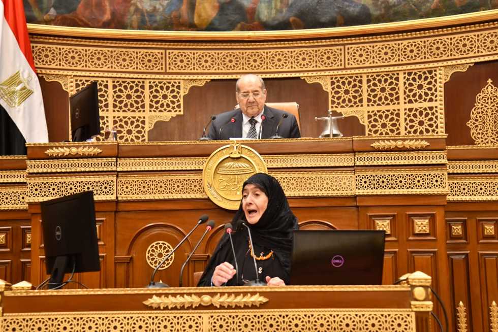 نائب بـ«الشيوخ»: زيارة الرئيس السيسي للسعودية تؤكد وحدة الموقف العربي