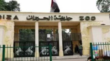 مع اقتراب موعد الافتتاح.. خبراء عالميون يتحدثون عن تفاصيل تطوير حديقة الجيزة (فيديو)