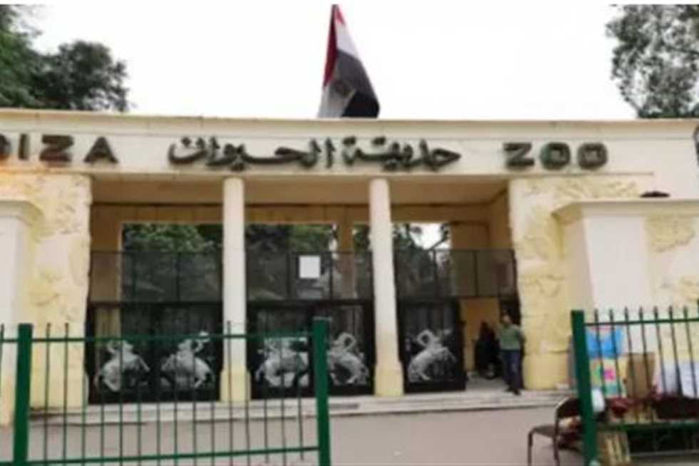 مع اقتراب موعد الافتتاح.. خبراء عالميون يتحدثون عن تفاصيل تطوير حديقة الجيزة (فيديو)