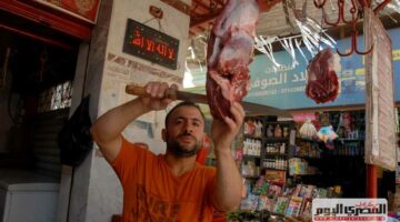 أسعار اللحوم في مطروح اليوم السبت 23-8-2025