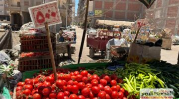 أسعار الخضار في أسوان اليوم الثلاثاء 26 أغسطس 2025