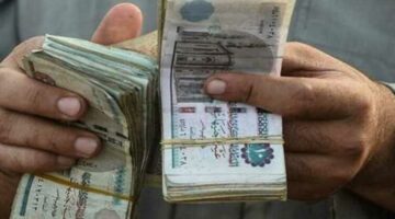 معرفة قيمة معاش تكافل وكرامة 2025 بالرقم القومي إلكترونيًا.. خطوات سهلة ومباشرة من موقع الوزارة
