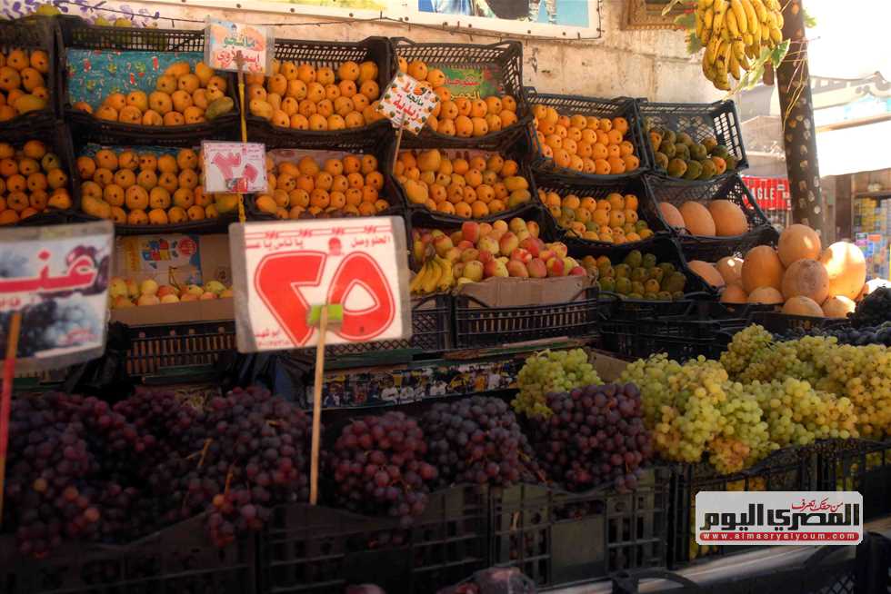 التفاح بـ55 جنيهًا.. أسعار الفاكهة في أسواق الإسكندرية اليوم الأحد 10 أغسطس 2025