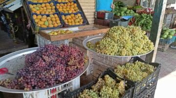 أسعار الخضروات والفواكه بشمال سيناء اليوم الأحد 17 أغسطس