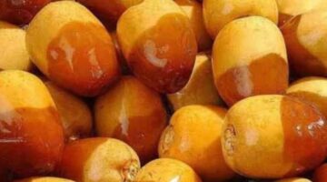 أبرزها تحسين صحة القلب.. الفوائد الصحية للبلح البرحي