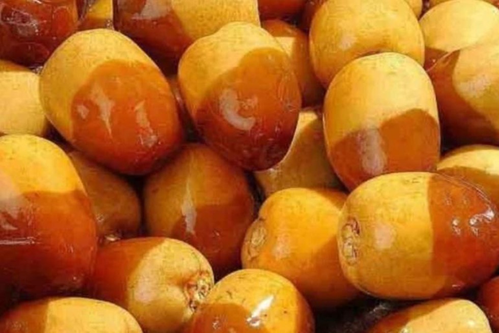 أبرزها تحسين صحة القلب.. الفوائد الصحية للبلح البرحي
