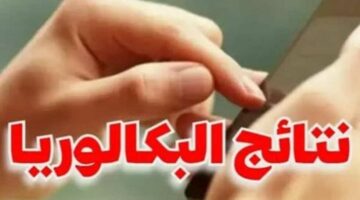 رابط نتائج البكالوريا 2025 سوريا حسب الاسم ورقم الاكتتاب.. استعلم الآن عبر موقع الوزارة