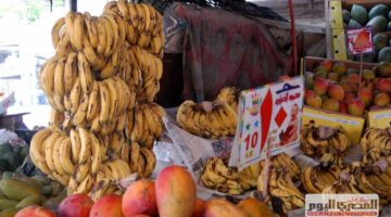 المانجو بـ35 جنيهًا.. أسعار الفاكهة اليوم السبت 30 أغسطس 2025 في أسواق مطروح