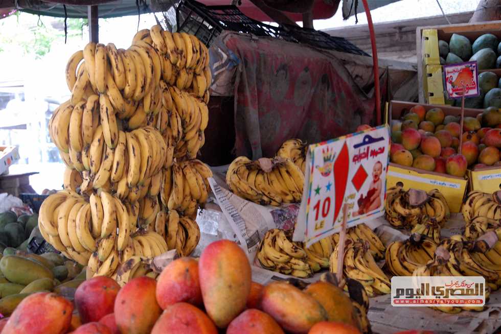 المانجو بـ35 جنيهًا.. أسعار الفاكهة اليوم السبت 30 أغسطس 2025 في أسواق مطروح