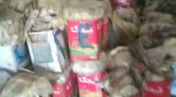 بعد ثبوت عدم صلاحية العينات.. إعدام 3 طن أسماك مملحة في أسوان