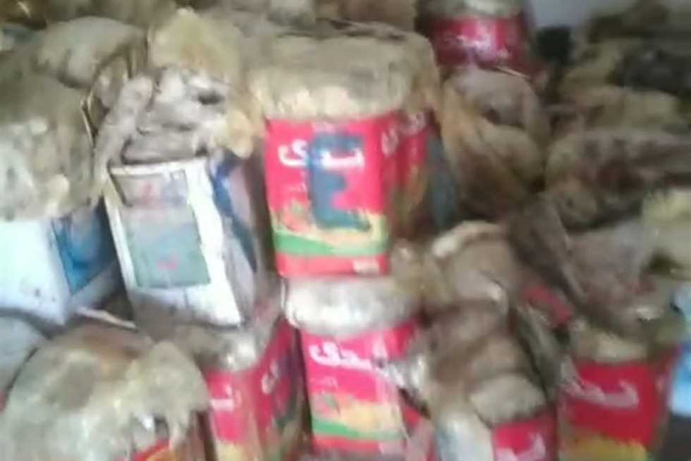 بعد ثبوت عدم صلاحية العينات.. إعدام 3 طن أسماك مملحة في أسوان