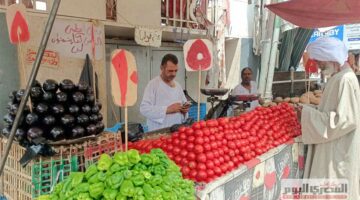«البطاطس بـ10 جنيه والبامية بـ40.. أسعار الخضار في أسواق الإسكندرية اليوم السبت 16 أغسطس 2025