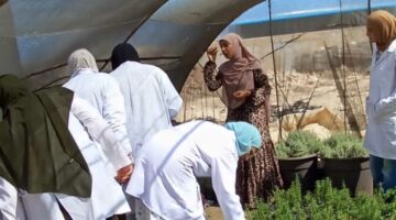 تعزيز المهارات الزراعية: دورة تدريبية لطلاب كلية الزراعة في مركز البحوث التطبيقية